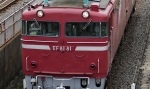 saisin-2-2818.jpg