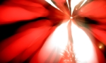saisin-2-3008.jpg