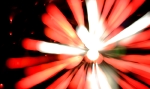 saisin-2-3011.jpg
