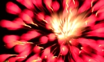 saisin-2-3013.jpg
