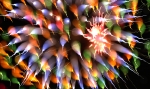saisin-2-3016.jpg