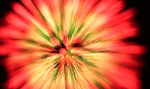 saisin-2-3058.jpg