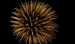 saisin-2-3050.jpg