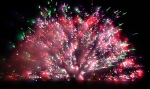 saisin-2-3072.jpg