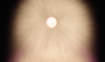 saisin-2-3047.jpg
