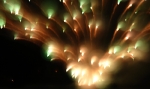 saisin-2-3035.jpg