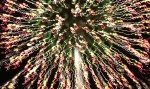 saisin-2-31371.jpg