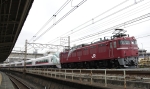 saisin-3-293.jpg