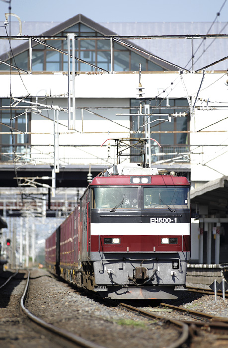 saisin-4-121.jpg