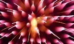saisin-4-365.jpg