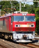 saisin-4-493.jpg