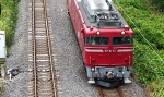 saisin-4-408.jpg