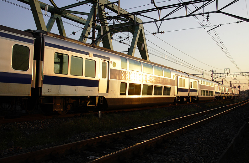 saisin-4-910.jpg