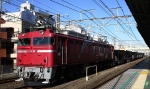 saisin-3-431.jpg