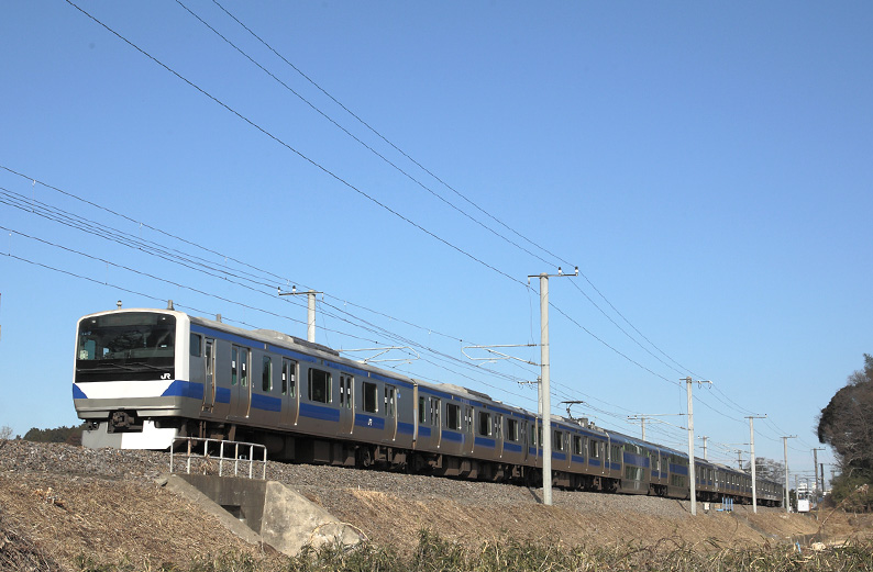 saisin-4-2206.jpg