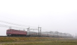 saisin-4-2307.jpg