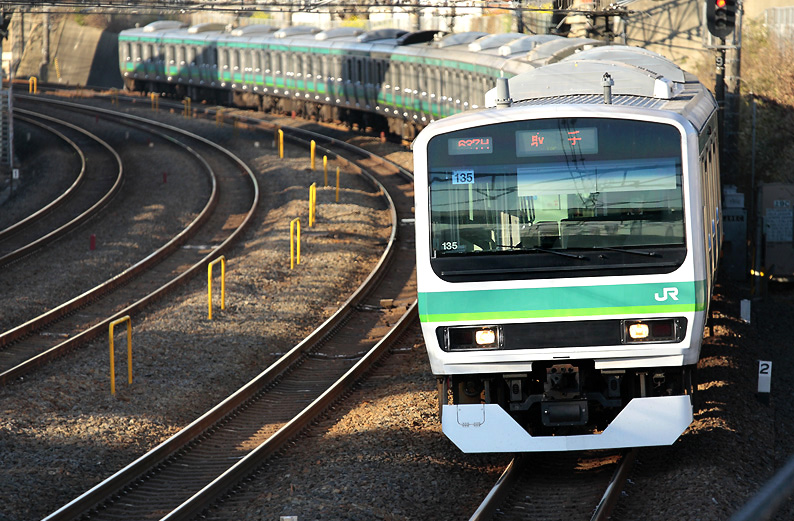 saisin-4-2379.jpg