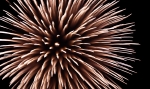 hanabi2010-59.jpg