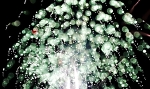 hanabi2010-185.jpg