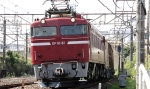 EF81-23.jpg