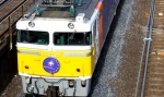 EF81-28.jpg
