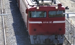 EF81-50.jpg