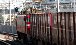 EF81-133.jpg