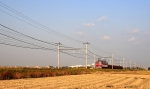 EF81-148.jpg