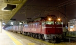 EF81-166.jpg