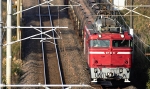 EF81-212.jpg