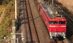 EF81-213.jpg