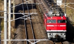 EF81-217.jpg