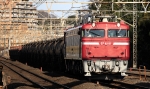 EF81-224.jpg