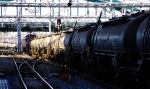 EF81-284.jpg