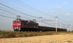 EF81-147-2.jpg