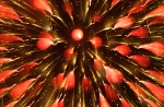 hanabi2011-02.jpg