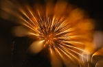 hanabi2011-04.jpg