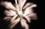 hanabi2011-07.jpg