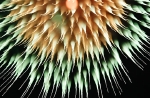hanabi2011-13.jpg
