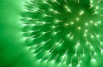 hanabi2011-30.jpg
