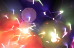 hanabi2011-34.jpg
