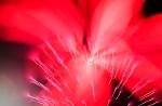 hanabi2011-35.jpg