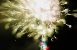 hanabi2011-16.jpg