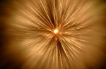hanabi2011-48.jpg