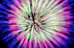 hanabi2011-55.jpg