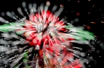 hanabi2011-54.jpg