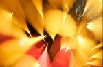 hanabi2011-49.jpg