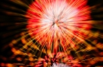 hanabi2011-62.jpg