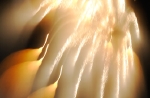 hanabi2011-63.jpg