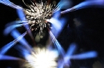 hanabi2011-73.jpg